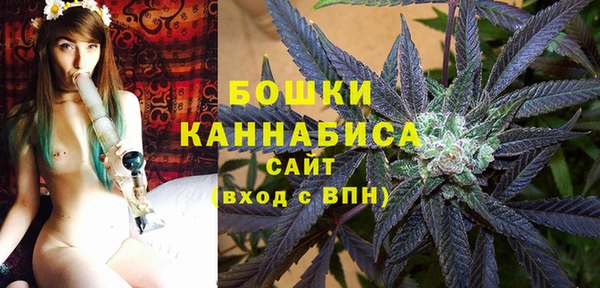 ПСИЛОЦИБИНОВЫЕ ГРИБЫ Горняк