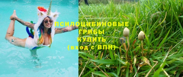 ПСИЛОЦИБИНОВЫЕ ГРИБЫ Горняк