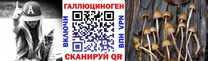 Псилоцибиновые грибы Psilocybine cubensis  МЕГА маркетплейс  Пикалёво  купить наркотики цена 